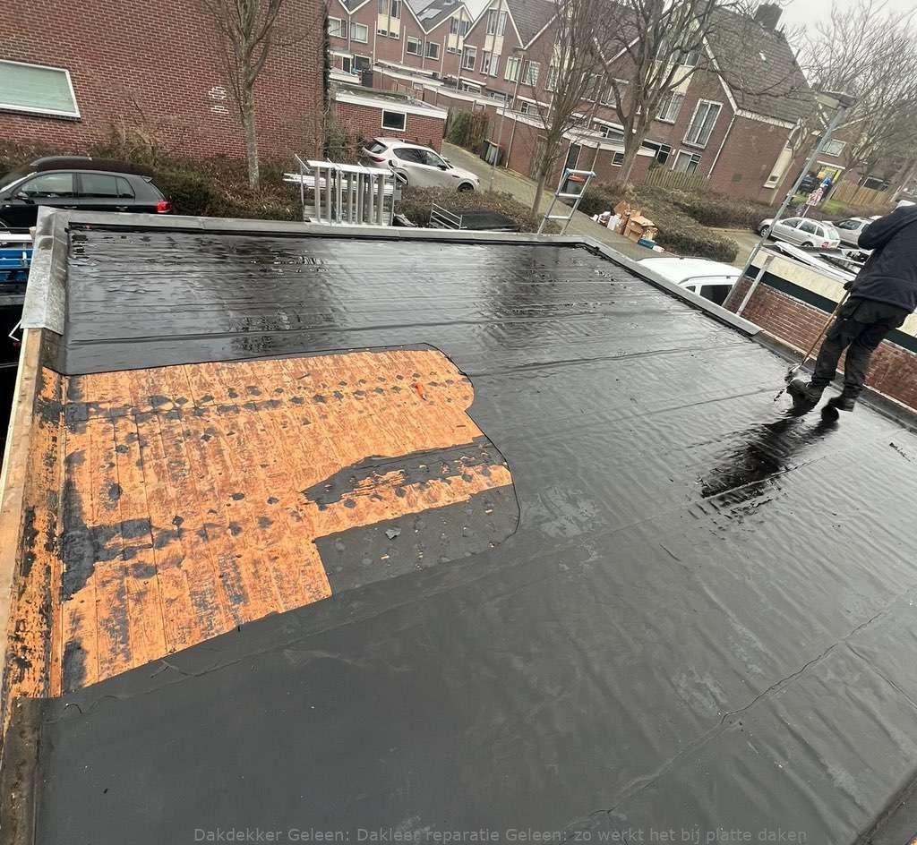 Dakleer Reparatie Geleen