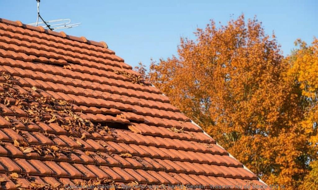 Dakrenovatie In Herfst Geleen