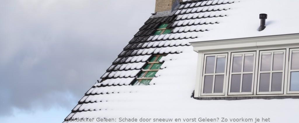 Schade Door Sneeuw En Vorst Geleen